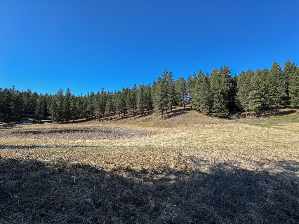 306 Parker Lakes Road, Bigfork, MT 59911 photo 9