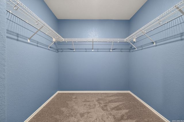 12906 OLSON PT, San Antonio, TX 78252
