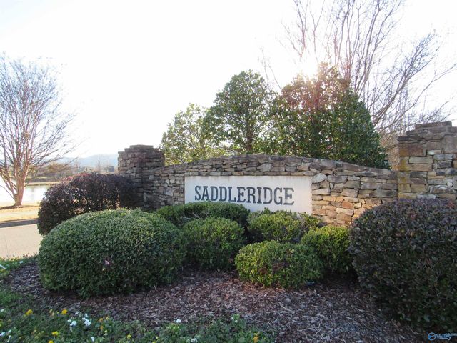 4728 Saddle Ridge Drive, Owens Cross Roads, AL 35763