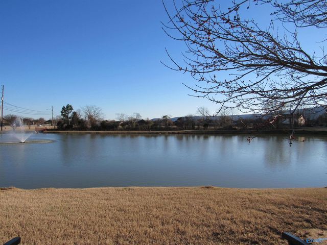 4728 Saddle Ridge Drive, Owens Cross Roads, AL 35763