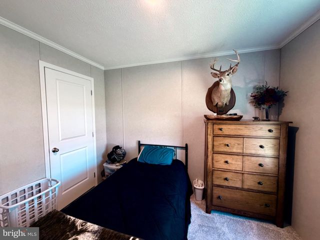 318 GANTT DR, Martinsburg, WV 25403