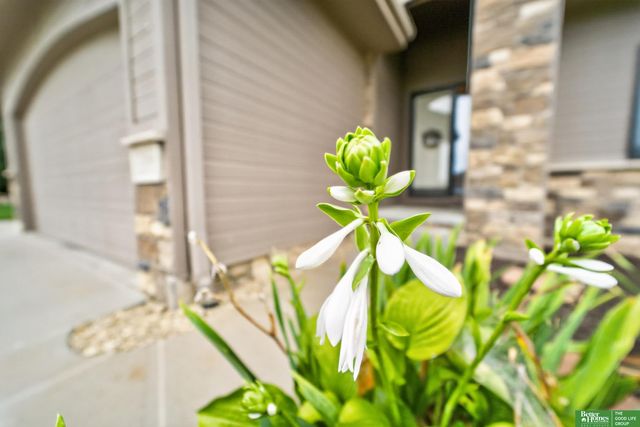 12068 S 79th Street, Papillion, NE 68046