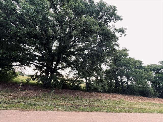LOT 6 TBD County Road 1560, Alba, TX 75410