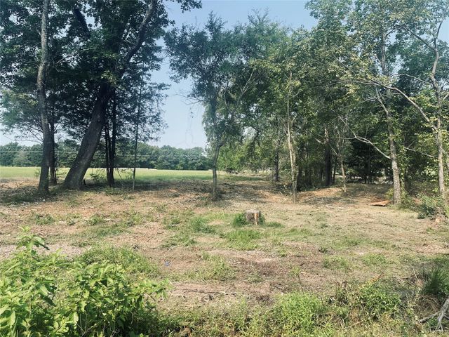 LOT 6 TBD County Road 1560, Alba, TX 75410