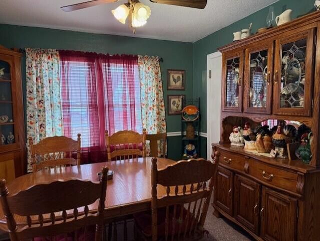 907 SHAMROCK TERR, Boonville, MO 65233