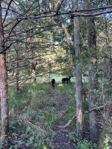 TBD FM 1245 W, Groesbeck, TX 76642