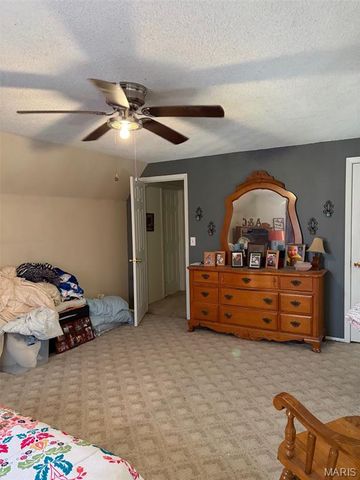 1303 Knob Lick Road, Farmington, MO 63640