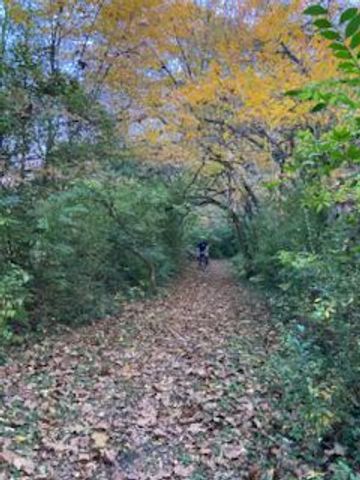 2188 Pacer Trail, Beavercreek, OH 45434