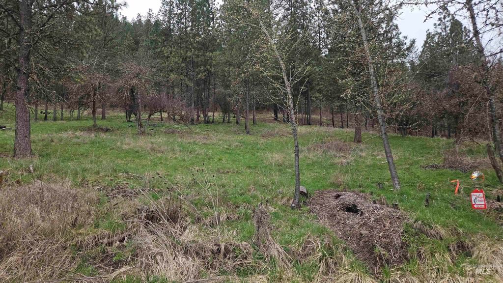 TBD Pine St Blk 56, Lot 3, Peck, ID 83545