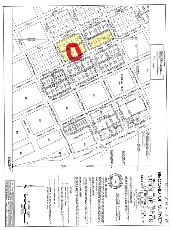 TBD Pine St Blk 56, Lot 3, Peck, ID 83545 photo 2