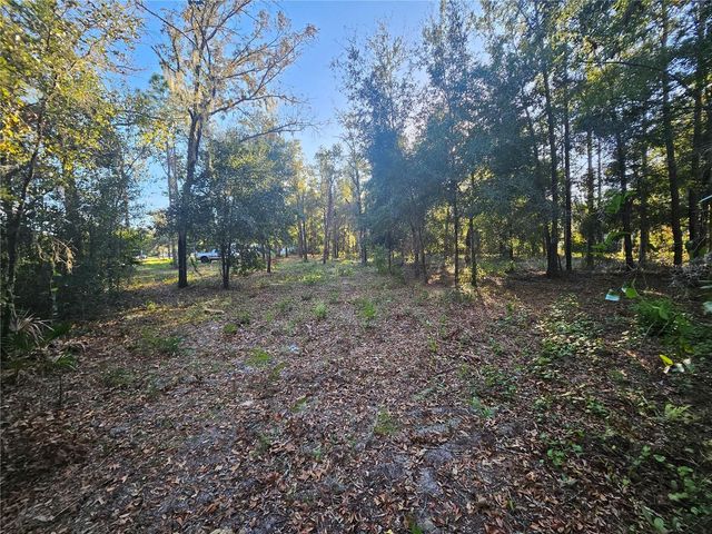 4462 & 4484 N WELL VIEW POINT, Crystal River, FL 34428