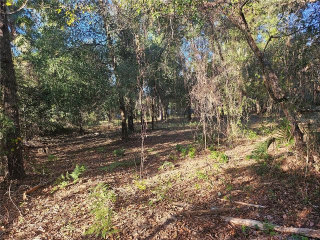 4462 & 4484 N WELL VIEW POINT, Crystal River, FL 34428