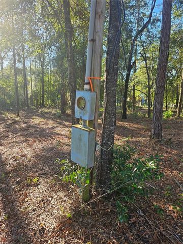 4462 & 4484 N WELL VIEW POINT, Crystal River, FL 34428