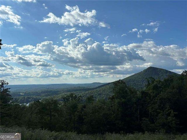 0 Little Hendricks Mountain, Jasper, GA 30143
