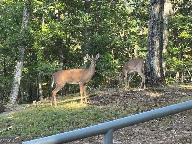 0 Little Hendricks Mountain, Jasper, GA 30143