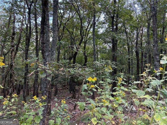 0 Little Hendricks Mountain, Jasper, GA 30143