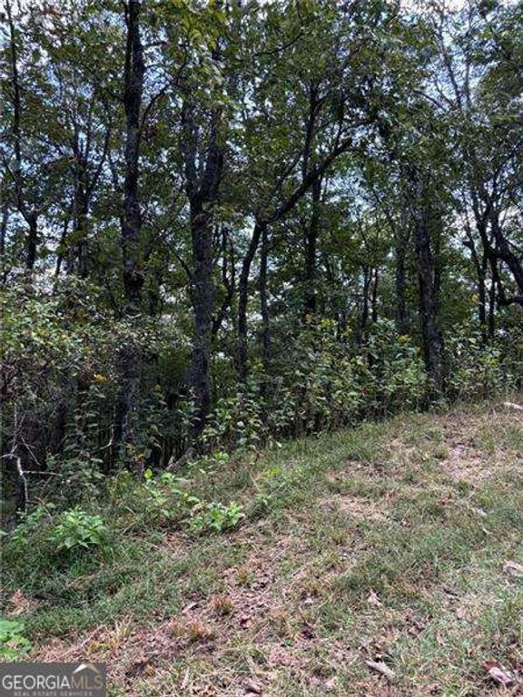 0 Little Hendricks Mountain, Jasper, GA 30143