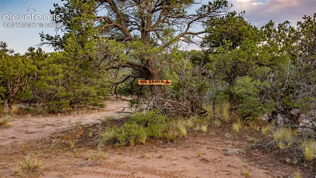 County Road 540, Gardner, CO 81040 — photo 4