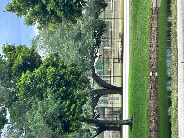 718 NW 92nd Avenue, Plantation, FL 33324