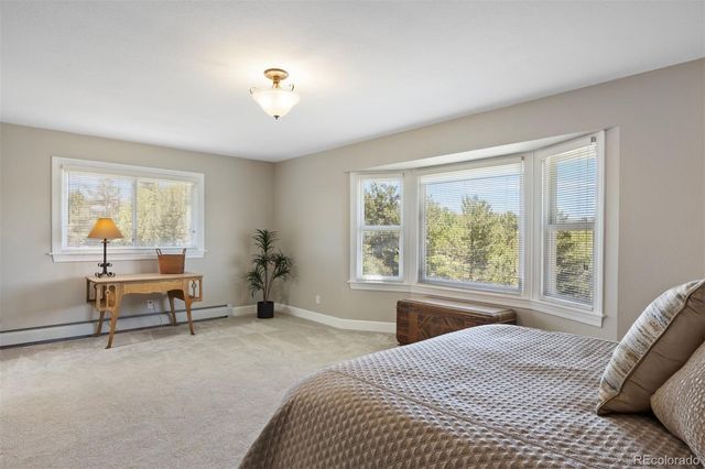 390 Suffolk Lane, Castle Rock, CO 80108