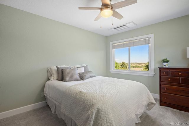 390 Suffolk Lane, Castle Rock, CO 80108