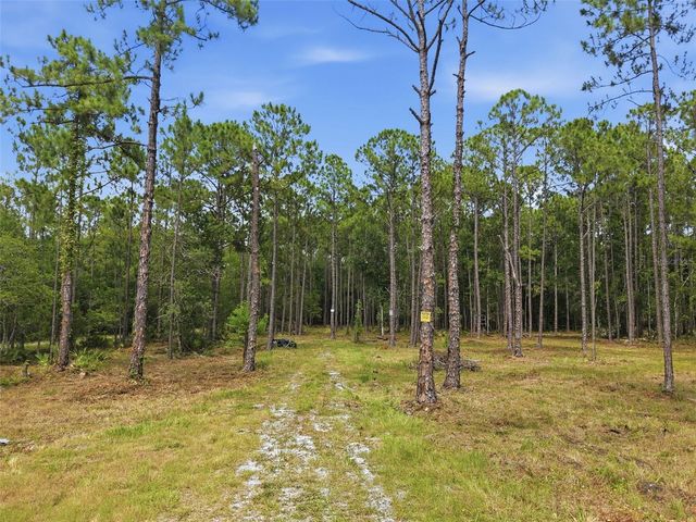 0 ALTAMONT LANE, Odessa, FL 33556