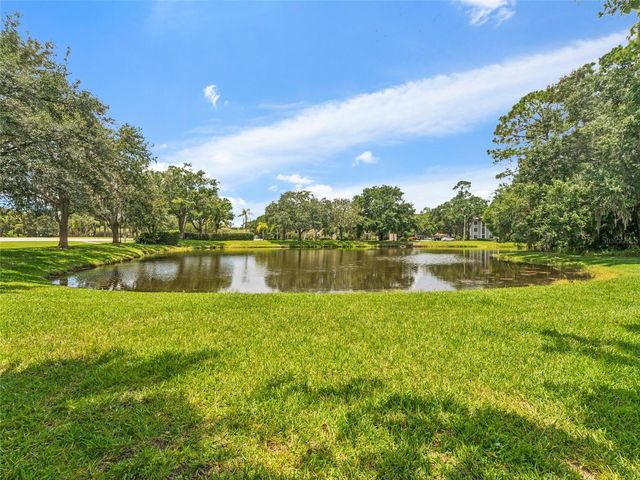3350 DUNEMOOR CT, Palm Harbor, FL 34685