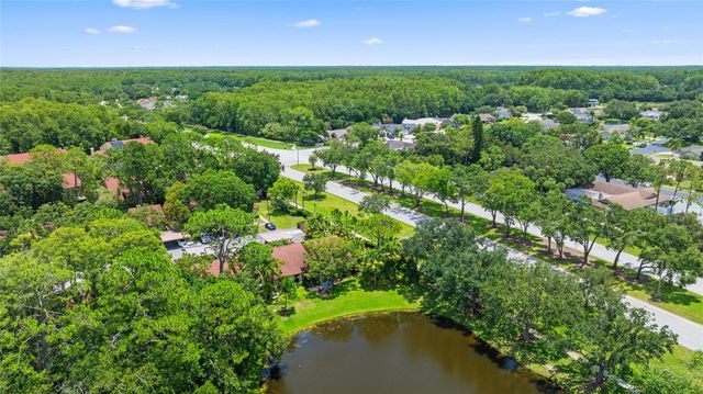3350 DUNEMOOR CT, Palm Harbor, FL 34685