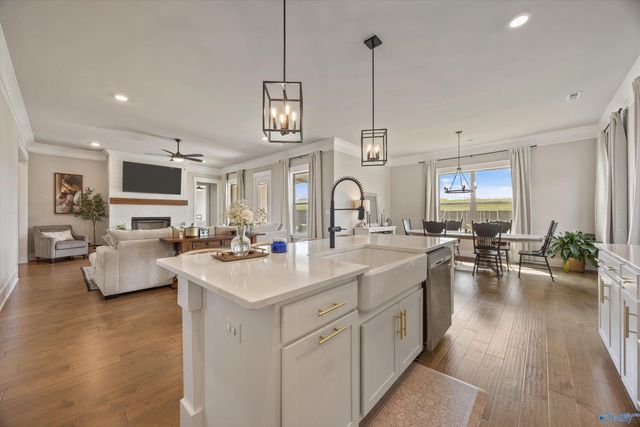 107 Peach Farm Circle, Madison, AL 35757