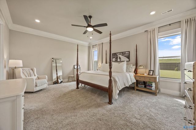 107 Peach Farm Circle, Madison, AL 35757