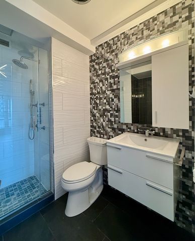 900 N LAKE SHORE Drive 509, Chicago, IL 60611
