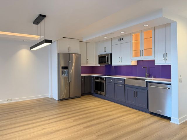 900 N LAKE SHORE Drive 509, Chicago, IL 60611
