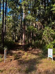 Lot 12 S 14th Street, Santa Rosa Beach, FL 32459