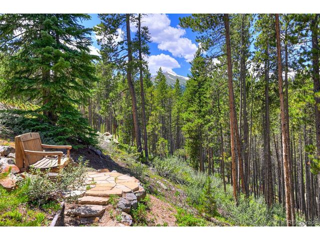 456 Peerless Dr, Breckenridge, CO 80424
