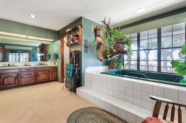 22050 E Buena Vista Rd, Clements, CA 95227