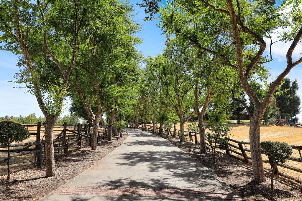 22050 E Buena Vista Rd, Clements, CA 95227