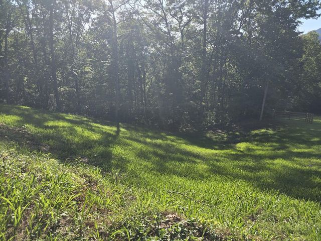 Lot 8 Wolfpen Gap Road, Hiawassee, GA 30546