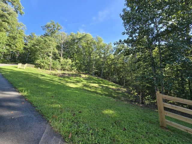 Lot 8 Wolfpen Gap Road, Hiawassee, GA 30546