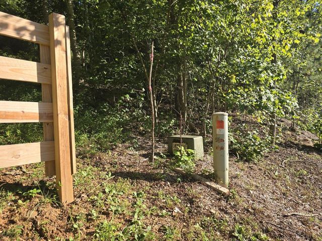 Lot 8 Wolfpen Gap Road, Hiawassee, GA 30546