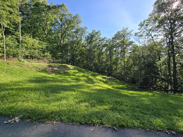 Lot 8 Wolfpen Gap Road, Hiawassee, GA 30546