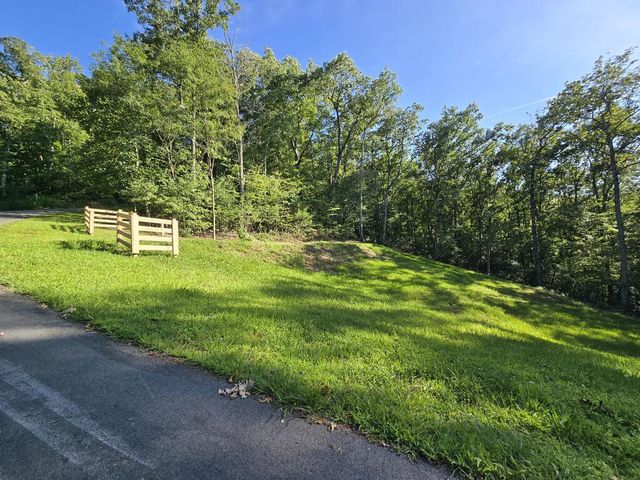 Lot 8 Wolfpen Gap Road, Hiawassee, GA 30546