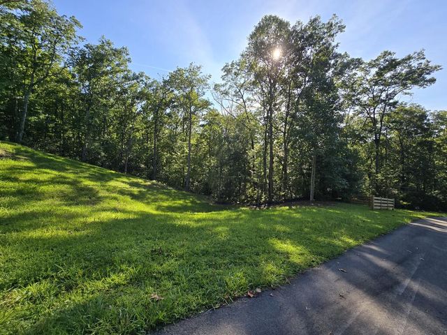 Lot 8 Wolfpen Gap Road, Hiawassee, GA 30546