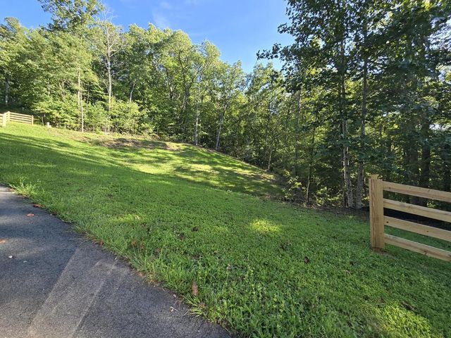 Lot 8 Wolfpen Gap Road, Hiawassee, GA 30546