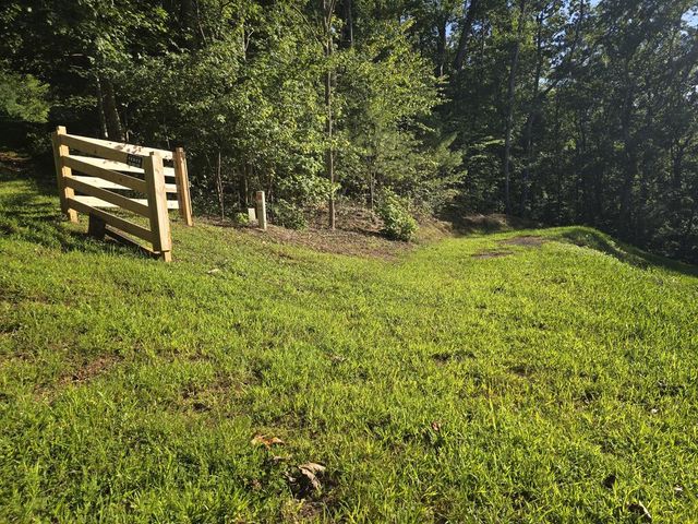 Lot 8 Wolfpen Gap Road, Hiawassee, GA 30546