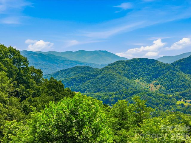 1877 Wilson Cove Road, Canton, NC 28716