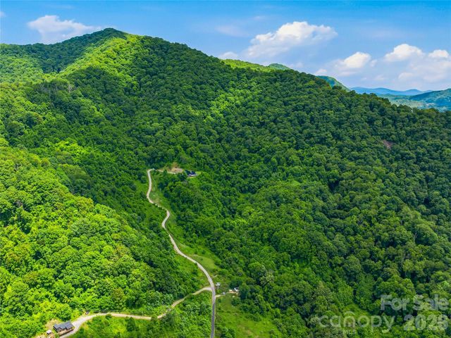 1877 Wilson Cove Road, Canton, NC 28716