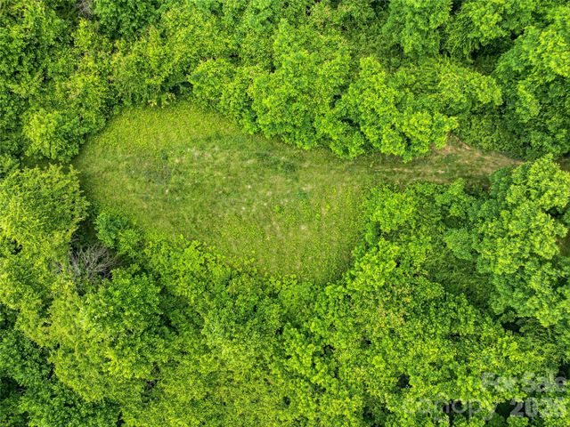 1877 Wilson Cove Road, Canton, NC 28716