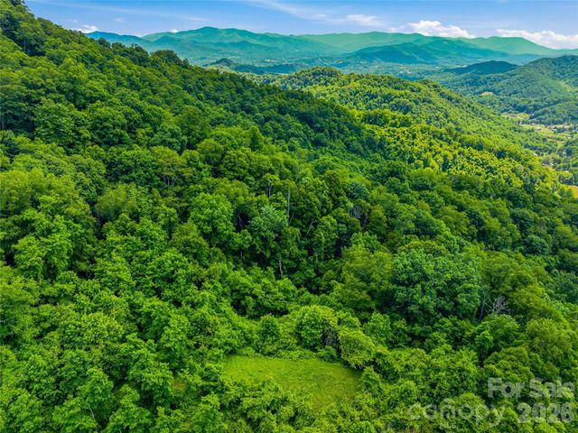 1877 Wilson Cove Road, Canton, NC 28716