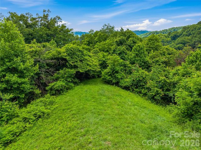 1877 Wilson Cove Road, Canton, NC 28716
