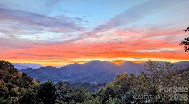 1877 Wilson Cove Road, Canton, NC 28716